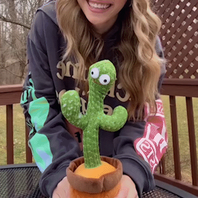 Dancing Cactus Plush Toy – Solution