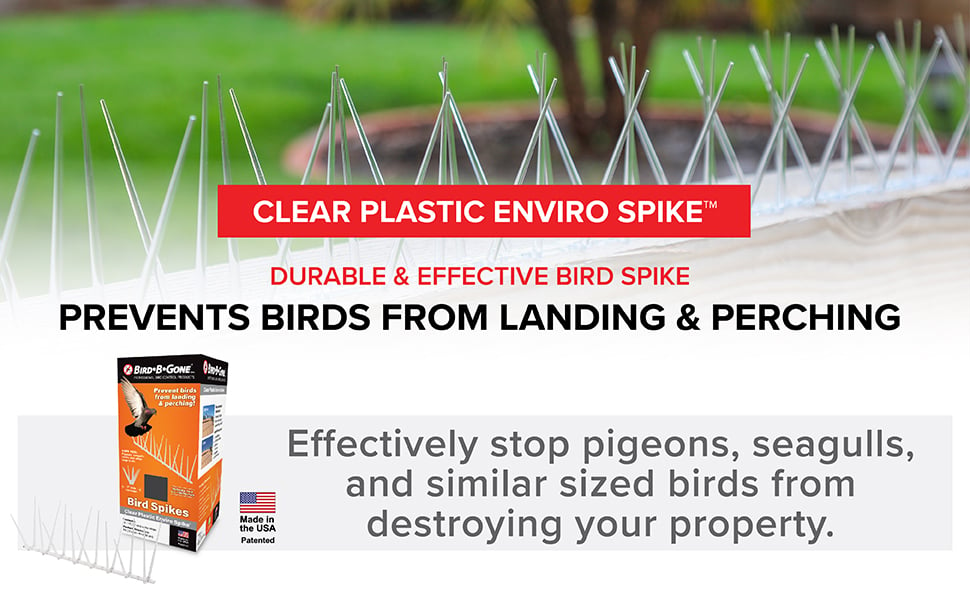 Clear Plastic Enviro Spike - Prevents Birds from Landing and Perching