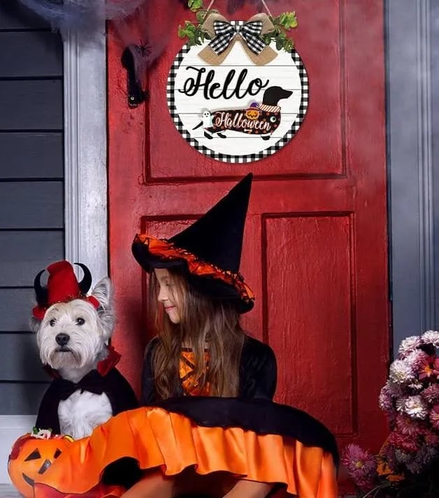 16pcs Interchangeable Dachshund Sign Dog Welcome Sign Wooden Sign with Magnet Detachable Accessories Seasonal Welcome Sign Decorations for Halloween Holiday Seasonal, Birthday Party, Home Wall Office Living Room Garden, Farmhouse Porch Front Door