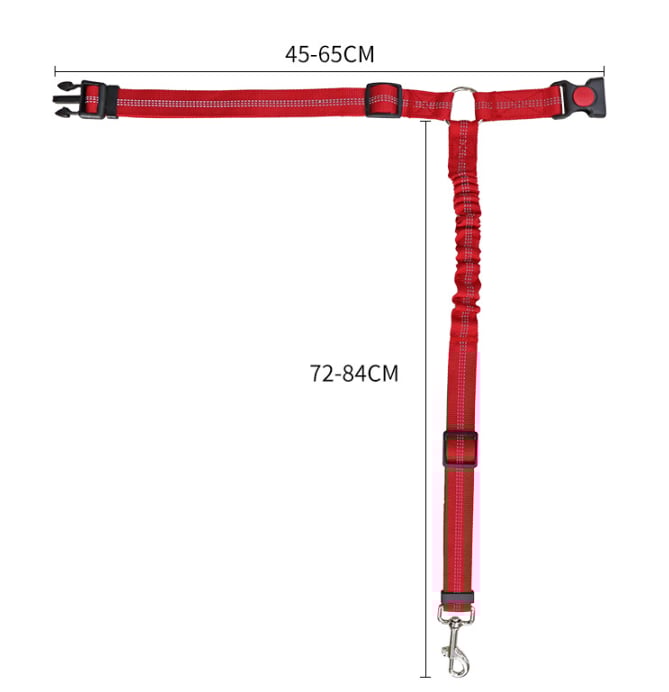 Dog Leash Sizing