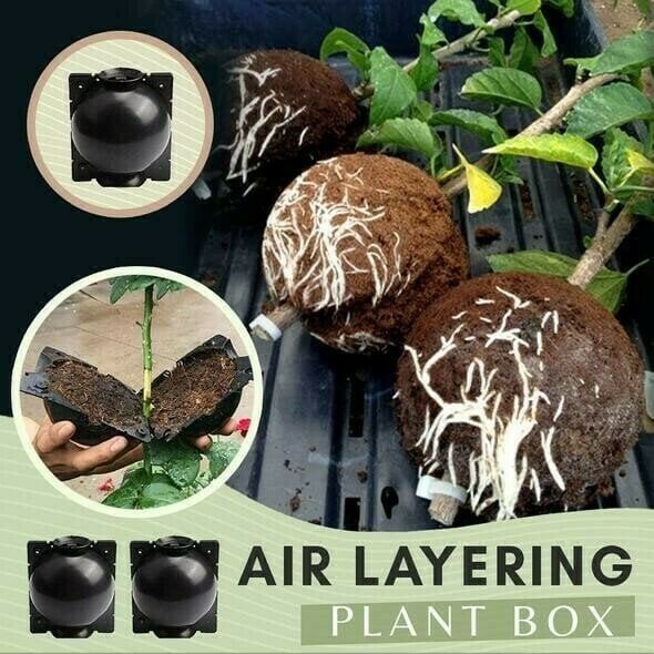 Air Layering Plant Boxes(5PCS) archictisete