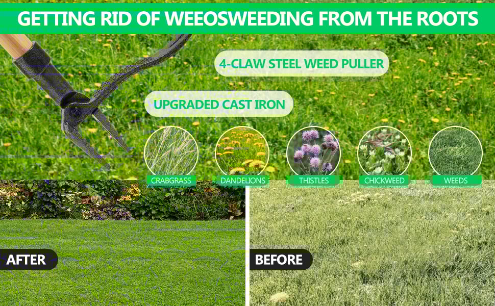 Weeder Tool