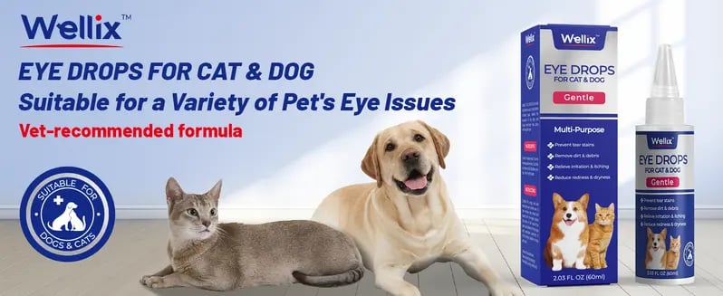 Product Introduction of PET Dog Eye Drops, Eye Drops for Dogs&Cats, Dog Eye Infection Treatment to Soothe Eye Allergy, Soothe Dry Eyes Pink Eyes, Dog Tear Stain Cleaner(60ml 0