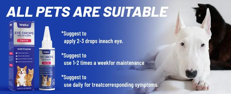 Product Introduction of PET Dog Eye Drops, Eye Drops for Dogs&Cats, Dog Eye Infection Treatment to Soothe Eye Allergy, Soothe Dry Eyes Pink Eyes, Dog Tear Stain Cleaner(60ml 3