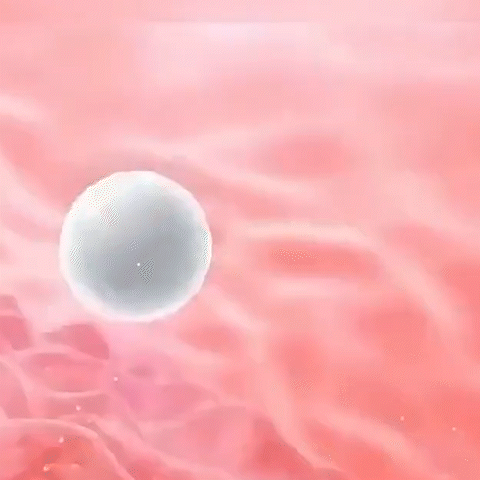 1 (17).gif