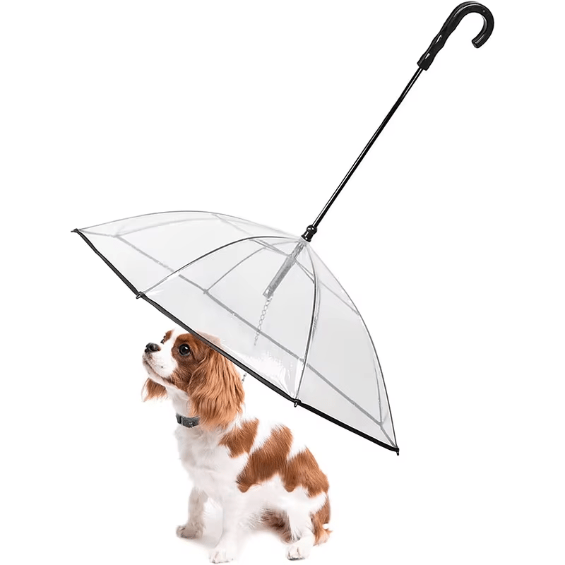 Dog Umbrella