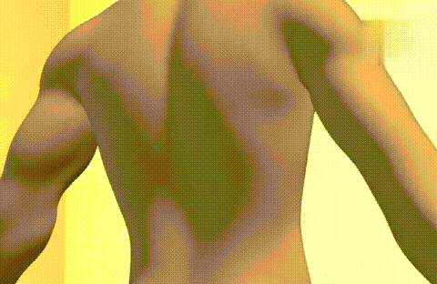 1 (21).gif