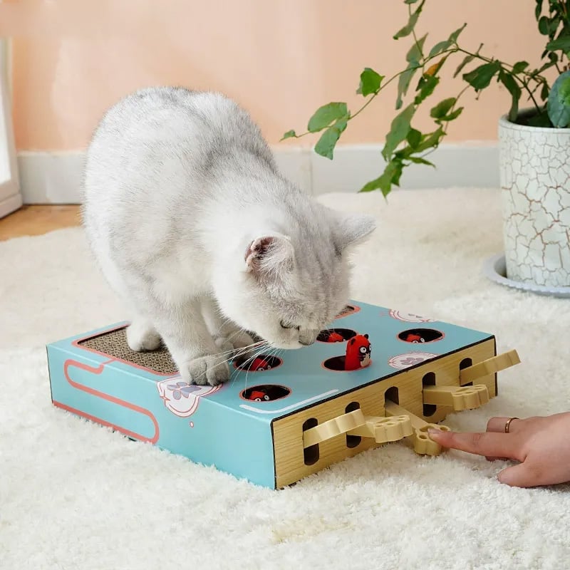 🔥Last Day 49% OFF - Whack-a-Mole Cat Scratcher Toy