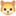 🐱