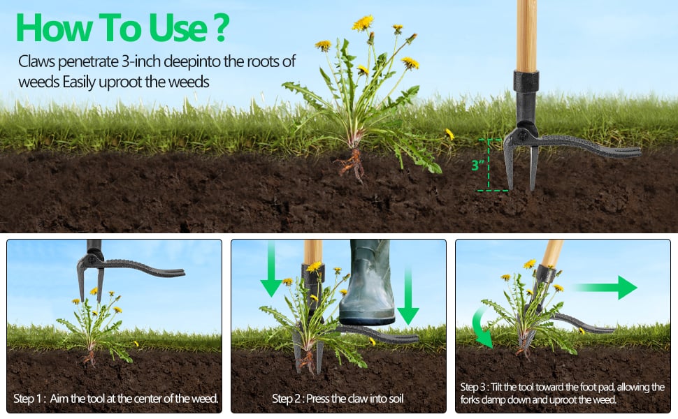 Weeder Tool