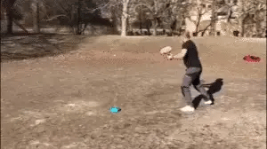 Solo Tennis Trainer