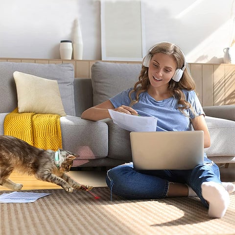 laser collar cat toy keeps them busy