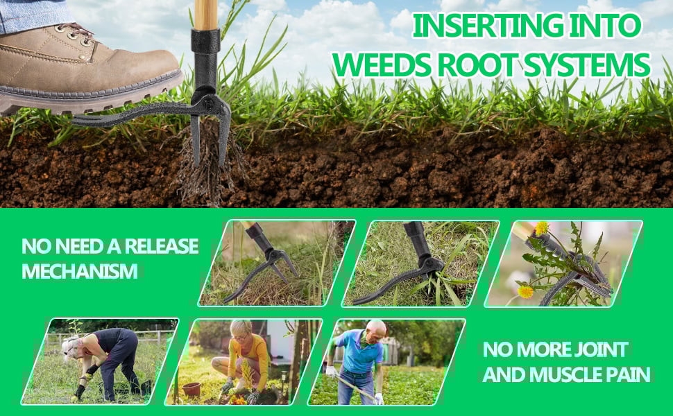 weed remover tool